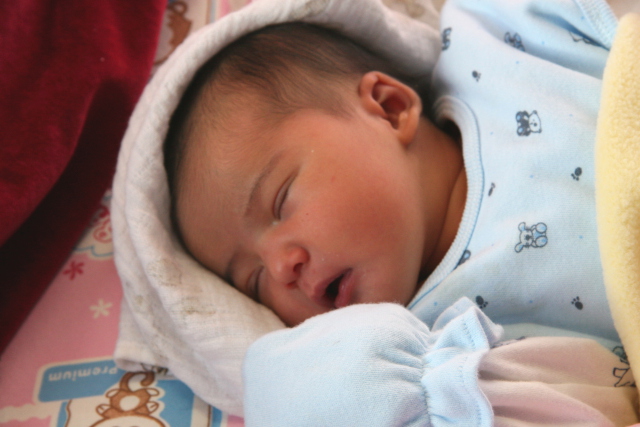 Scaled image img_3575_b.jpg (640x427, 145kB)