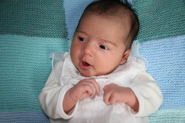 Scaled image img_3684.jpg (640x427, 201kB)