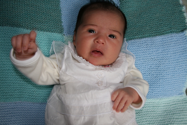 Scaled image img_3688.jpg (640x427, 196kB)