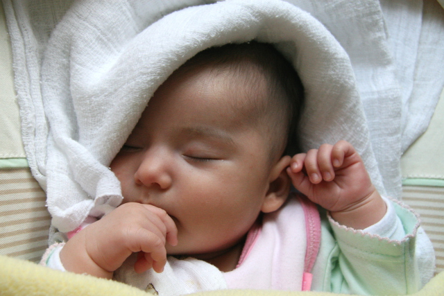 Scaled image img_3757_b.jpg (640x427, 176kB)