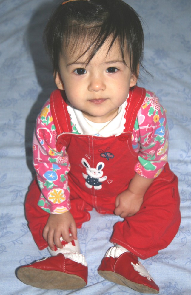 Scaled image img_4548_bcr.jpg (640x989, 140kB)