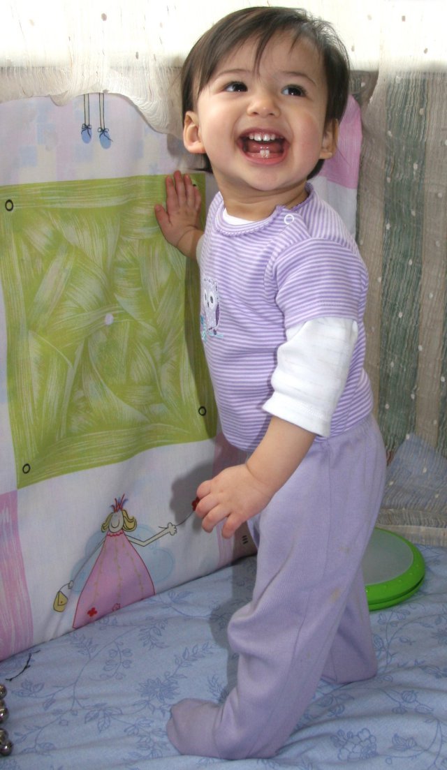 Scaled image img_4733_bcr.jpg (640x1103, 119kB)