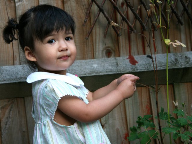 Scaled image img_5560_bc.jpg (640x479, 73kB)