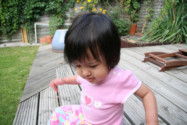 Scaled image img_5574.jpg (640x427, 214kB)