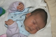 Thumbnail img_3708_b.jpg (113x75)